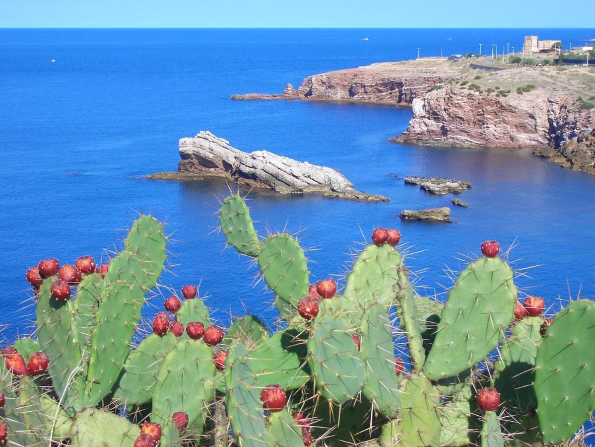 Casa Vacanze Nautilus Terrasini Bagian luar foto